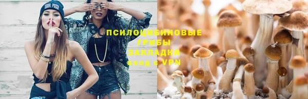 кокаин колумбия Щигры