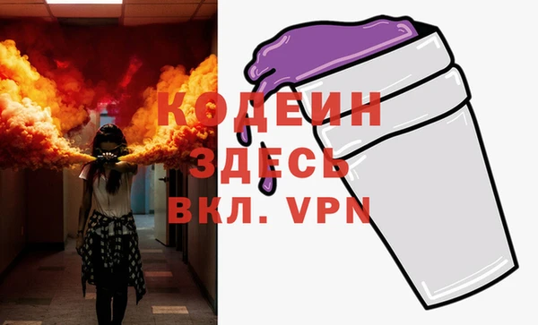 ГАЛЛЮЦИНОГЕННЫЕ ГРИБЫ Гусь-Хрустальный