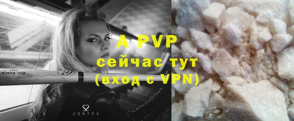 apvp Гусиноозёрск