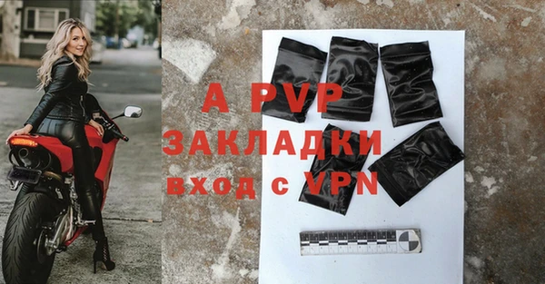 ГАЛЛЮЦИНОГЕННЫЕ ГРИБЫ Гусь-Хрустальный