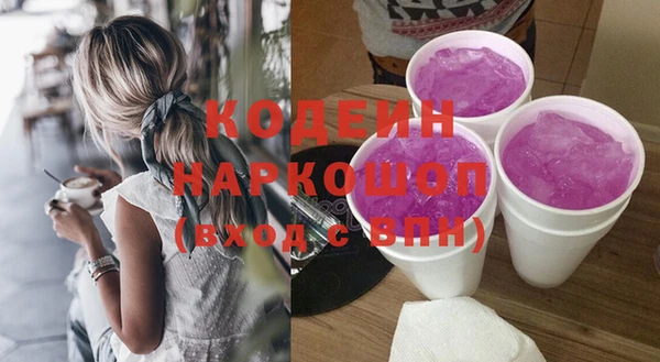 ГАЛЛЮЦИНОГЕННЫЕ ГРИБЫ Гусь-Хрустальный