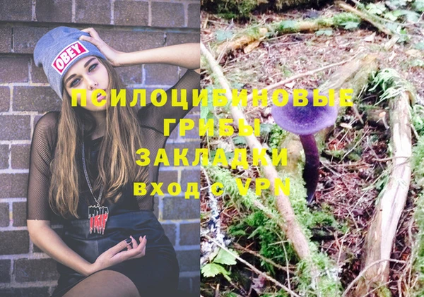 apvp Гусиноозёрск
