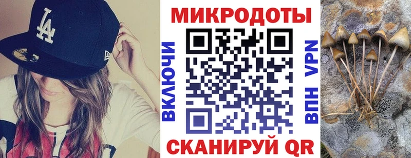 Псилоцибиновые грибы Psilocybine cubensis Петухово