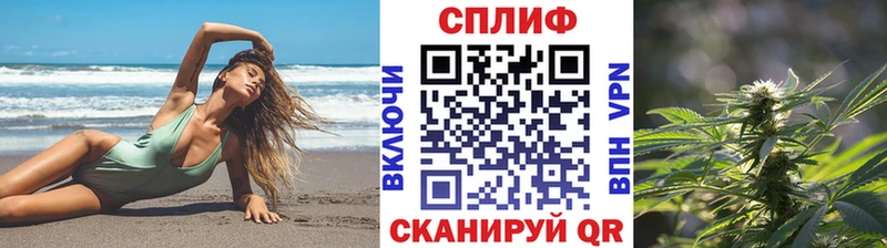blacksprut   Петухово  Канабис OG Kush 